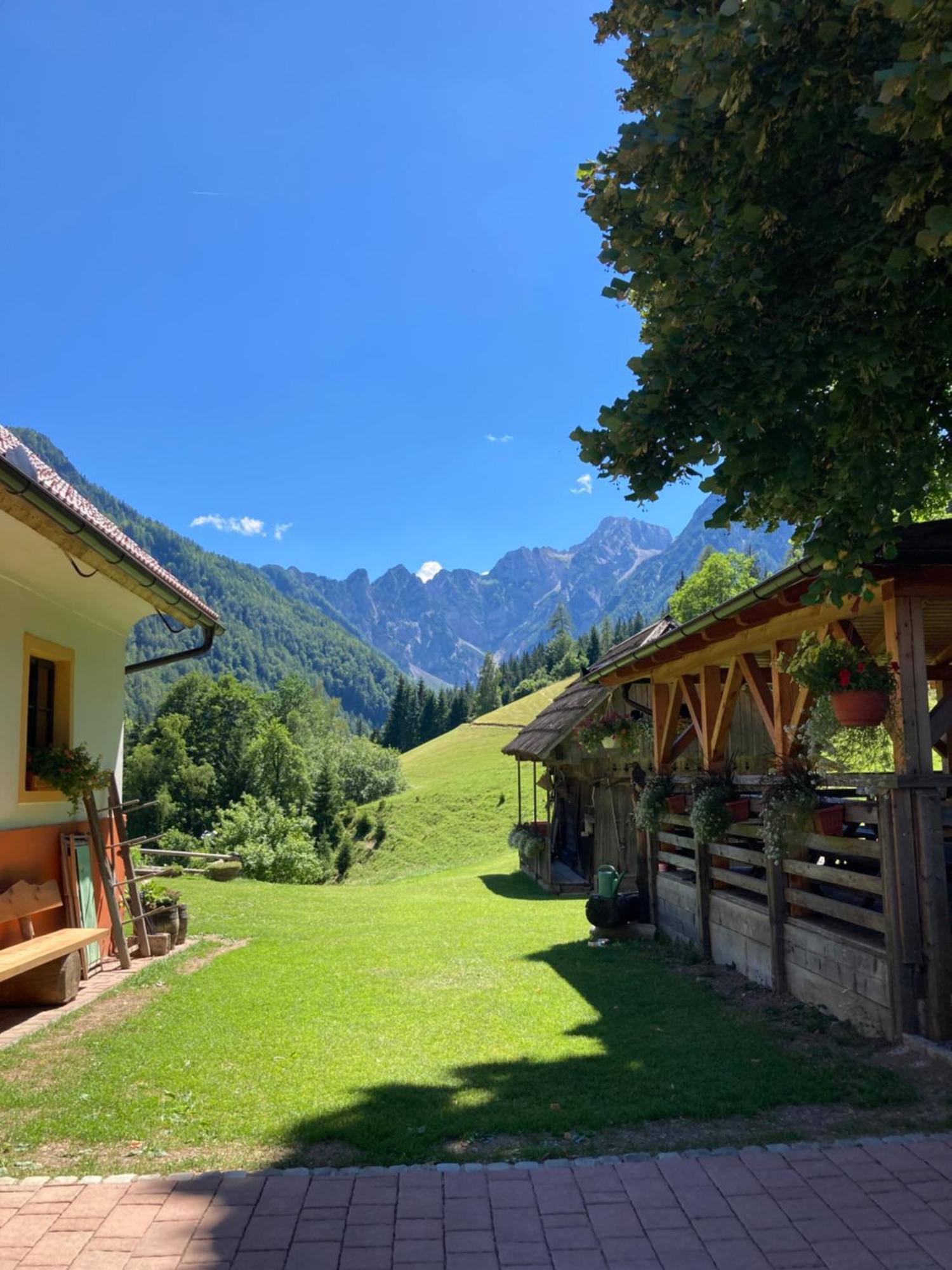 Tourist Farm Gradisnik Apartment Solčava Exterior foto