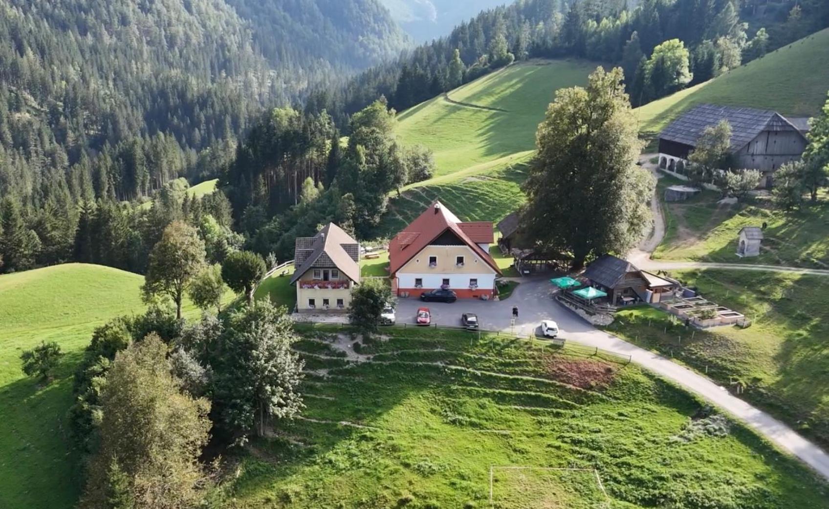 Tourist Farm Gradisnik Apartment Solčava Exterior foto