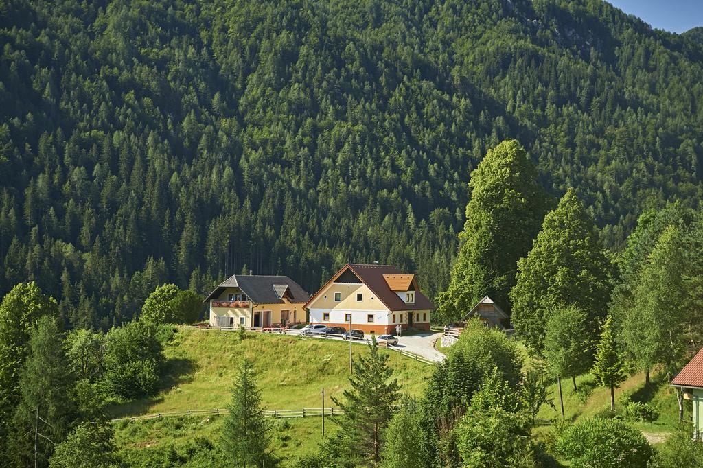 Tourist Farm Gradisnik Apartment Solčava Exterior foto